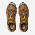 Salomon XT-6