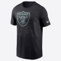 Nike Reflective NFL Las Vegas Raiders Tee