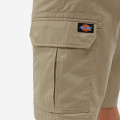 Dickies Millerville Shorts
