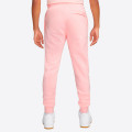 Nike Sportswear Club Fleece Jogger Pants