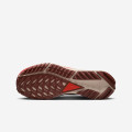 Nike Pegasus Trail 4 GORE-TEX