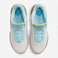 Nike LeBron XX