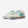 Nike LeBron XX