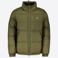 Dickies Waldenburg Jacket