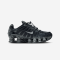 FV0939-001