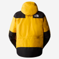 The North Face GORE-TEX Mountain Jacket