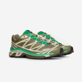 Salomon Xt-6 "Deep Lichen Green"