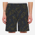Dickies Saltville Shorts Blue/brown