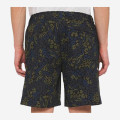 Dickies Saltville Shorts Blue/brown
