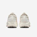Nike Pegasus Trail 5 Gore-Tex