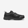 Salomon Alpinway Advanced "Black Asphalt"
