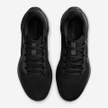 Nike Pegasus 41 "Black & Anthracite"