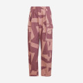 Adidas Terrex Xploric Cargo Pants Printed