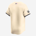 Nike MLB Texas Rangers City Connect Jersey