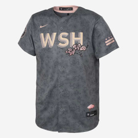 Nike MLB Washington Nationals City Connect Jersey